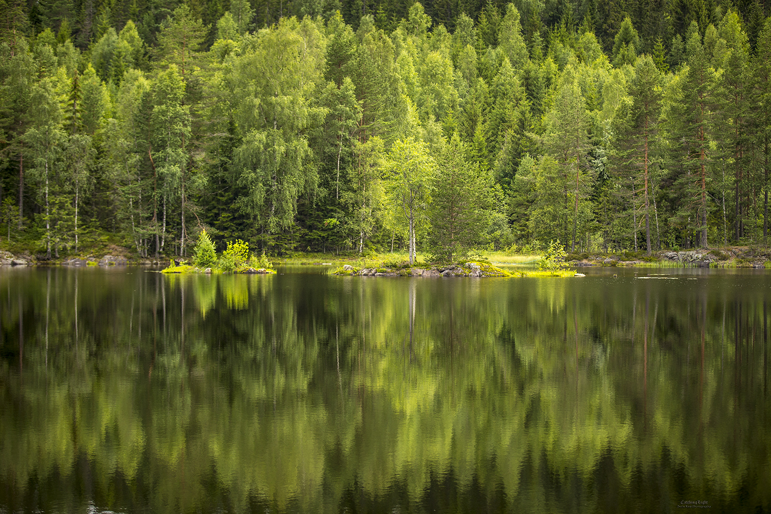 Åmotdammen